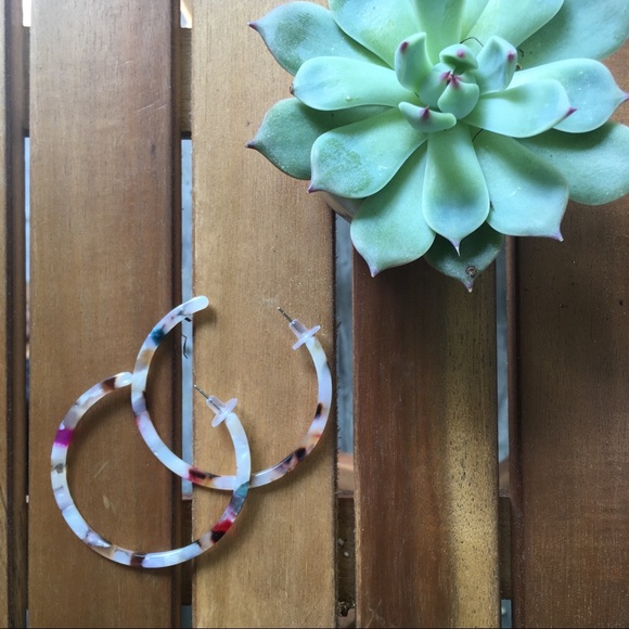 Jewelry - ✨HP✨ Hoop Earrings